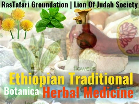  Health Through Traditional Herbs: An Ethiopian Exploration of Nature's Pharmacy