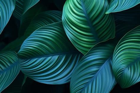  Plants for Colombian Homes – A Vibrant Exploration of Tropical Flora and Interior Design