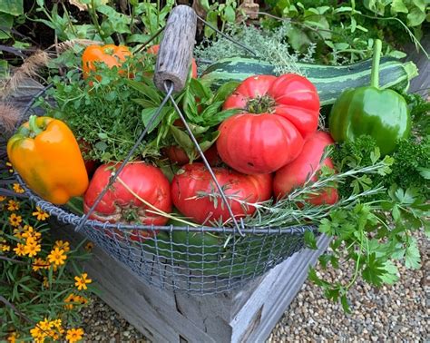  You Grow Girl: A Guide to Growing Your Own Food -  An Unconventional Ode to Urban Gardening and Self-Sufficiency